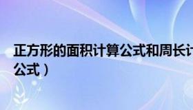 正方形的面积计算公式和周长计算公式（正方形的面积计算公式）