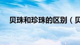 贝珠和珍珠的区别（贝珠和珍珠的区别）