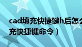 cad填充快捷键h后怎么让选项弹出（cad填充快捷键命令）