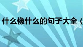 什么像什么的句子大全（什么像什么的句子）