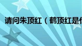 请问朱顶红（鹤顶红是什么东西 怎么来的）
