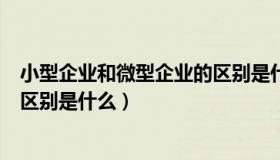 小型企业和微型企业的区别是什么（小型企业和微型企业的区别是什么）