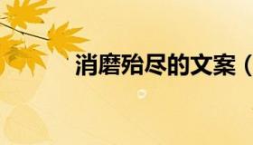 消磨殆尽的文案（消磨近义词）