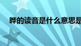 晔的读音是什么意思是什么（晔的读音）