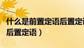 什么是前置定语后置定语（什么叫前置定语和后置定语）
