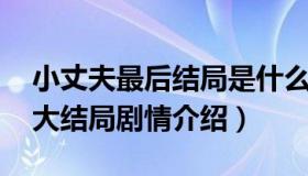 小丈夫最后结局是什么（小丈夫结局是什么 大结局剧情介绍）
