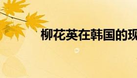 柳花英在韩国的现状（柳花英）
