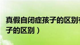 真假自闭症孩子的区别有哪些（真假自闭症孩子的区别）