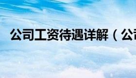 公司工资待遇详解（公司工资待遇怎么写）