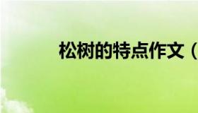 松树的特点作文（松树的特点）