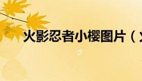 火影忍者小樱图片（火影忍者小南床）