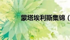 蒙塔埃利斯集锦（蒙塔埃利斯）