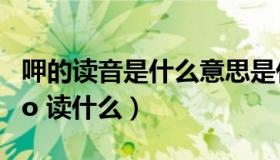 呷的读音是什么意思是什么（ldquo 呷 rdquo 读什么）