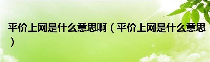 平价上网是什么意思啊（平价上网是什么意思）