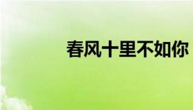 春风十里不如你（春风十里）