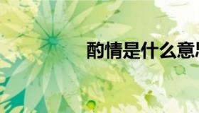 酌情是什么意思（酌情）