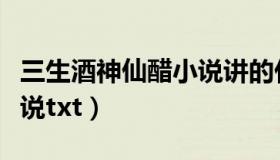 三生酒神仙醋小说讲的什么（三生酒神仙醋小说txt）