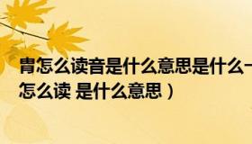 胄怎么读音是什么意思是什么一（ldquo 胄 rdquo 这个字怎么读 是什么意思）