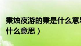 秉烛夜游的秉是什么意思啊（秉烛夜游的秉是什么意思）