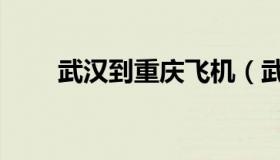武汉到重庆飞机（武汉到重庆飞机）