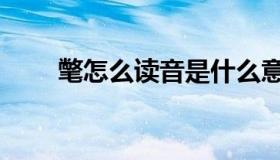 氅怎么读音是什么意思是什么（氅）
