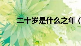 二十岁是什么之年（二十岁叫什么）