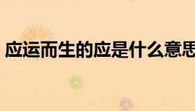 应运而生的应是什么意思（应运而生近义词）