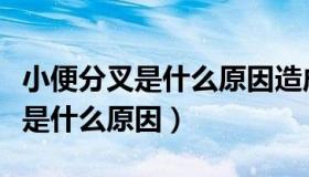 小便分叉是什么原因造成前列腺炎（小便分叉是什么原因）