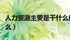 人力资源主要是干什么的（人力资源主要做什么）