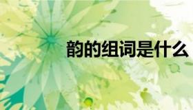 韵的组词是什么（韵的组词）