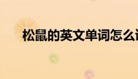 松鼠的英文单词怎么读（松鼠的英文）