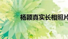 杨颖真实长相照片（杨颖整容）