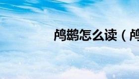 鸬鹚怎么读（鸬鹚怎么读）