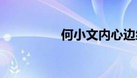 何小文内心边缘不正常。