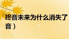终音未来为什么消失了（终音未来为什么杀初音）