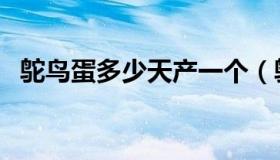 鸵鸟蛋多少天产一个（鸵鸟蛋多少钱一枚）