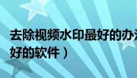 去除视频水印最好的办法是（去除视频水印最好的软件）
