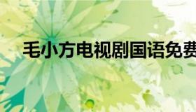 毛小方电视剧国语免费（毛小方电视剧）