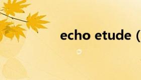 echo etude（echo  e）