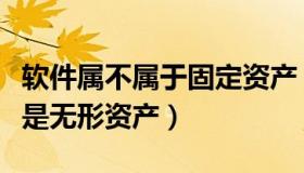 软件属不属于固定资产（软件属于固定资产还是无形资产）