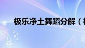 极乐净土舞蹈分解（极乐净土舞蹈服）