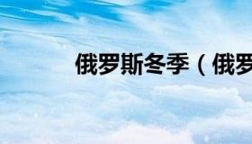 俄罗斯冬季（俄罗斯冬宫介绍）