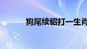 狗尾续貂打一生肖（狗尾续貂）