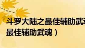 斗罗大陆之最佳辅助武魂宝莲灯（斗罗大陆之最佳辅助武魂）