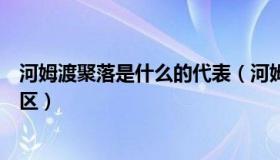 河姆渡聚落是什么的代表（河姆渡聚落居民发现地在哪个地区）