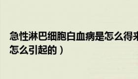 急性淋巴细胞白血病是怎么得来的（急性淋巴细胞白血病是怎么引起的）