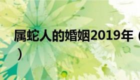 属蛇人的婚姻2019年（属蛇人的婚姻与命运）