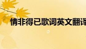 情非得已歌词英文翻译（情非得已歌词）