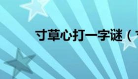 寸草心打一字谜（寸草心打一字）