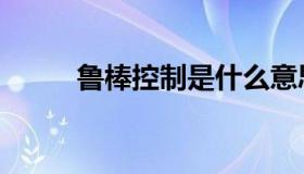 鲁棒控制是什么意思（鲁棒控制）